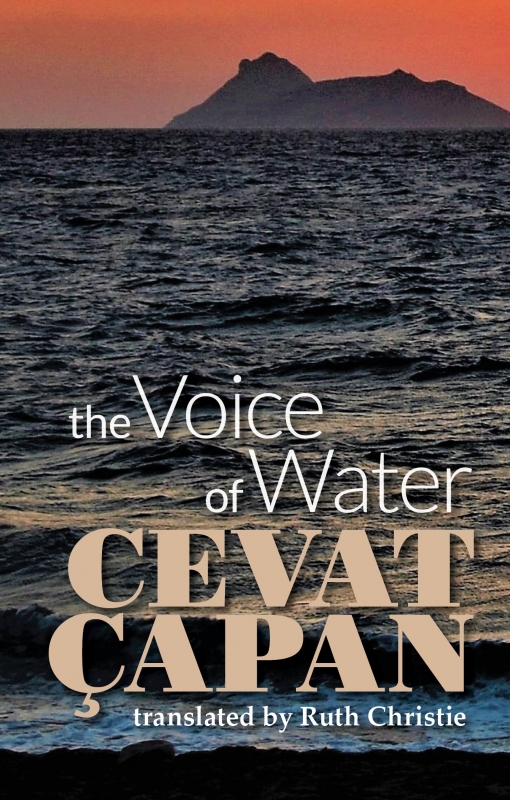 The Voice of Water